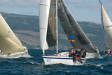 bambi gbr9612 ss12 sun 11414